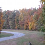 natchez11
