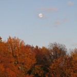 ruralky81